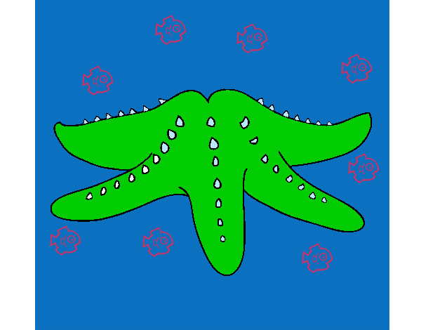 Dibujo Estrella de mar 2 pintado por Xabierito