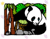 Dibujo Oso panda y bambú pintado por raquel57