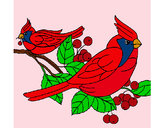 Dibujo Pájaros pintado por Eddarosa