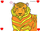 Dibujo Tigre 3 pintado por danifinal