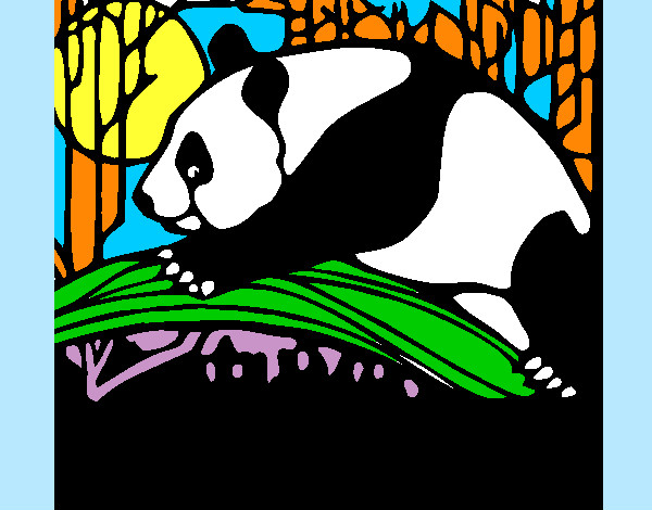 Dibujo Oso panda comiendo pintado por jazmikee