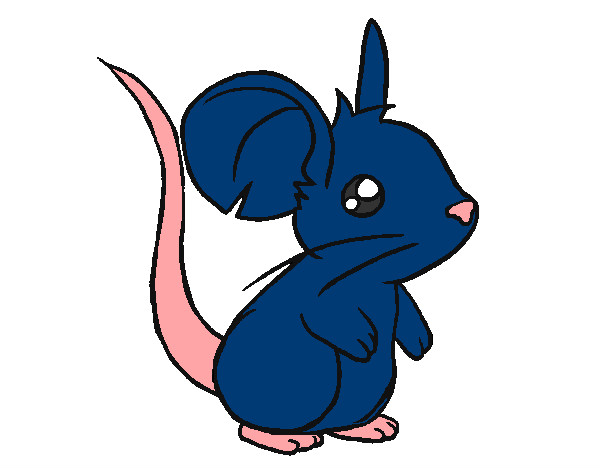 mi ratita azul