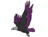 Dibujo Águila volando pintado por eliz33