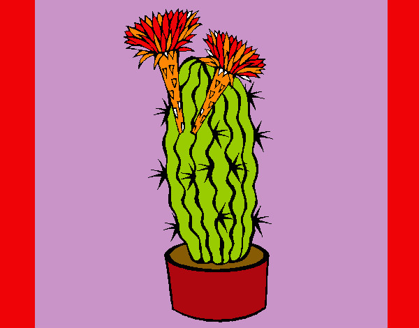 este cactus eres tu MI AMOR