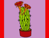 Dibujo Cactus con flores pintado por ganatapaye