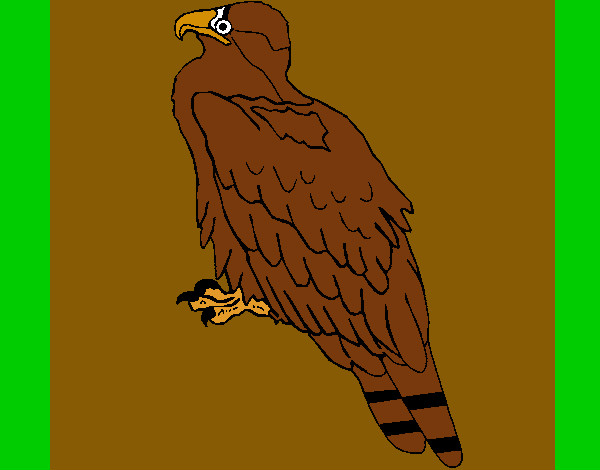 Dibujo Águila pintado por izco6