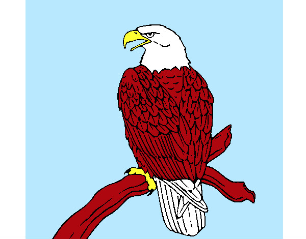 Dibujo Águila en una rama pintado por Jablublu