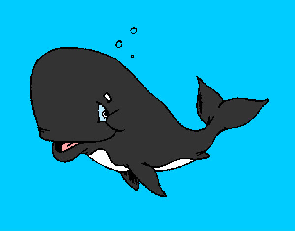 Ballena Vergonzosa Pintado Por Rossy 23 Www Dibujos Net