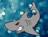 Dibujo Tiburón enfadado pintado por narvel