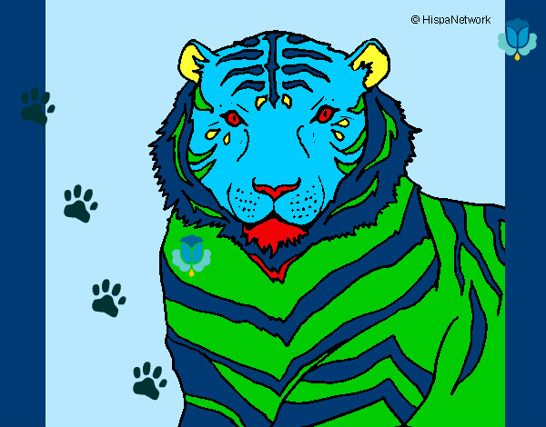 Dibujo Tigre 3 pintado por titoni