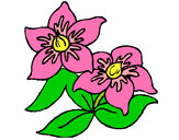 Dibujo Flores 3 pintado por yaremi