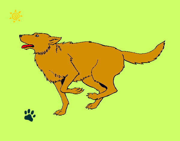 Dibujo Perro corriendo pintado por minina649