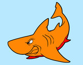 Dibujo Tiburón enfadado pintado por Edgarale
