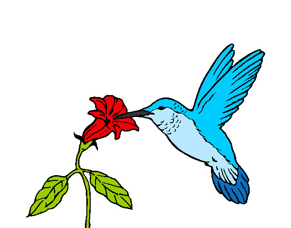Dibujo Colibrí y una flor pintado por beve