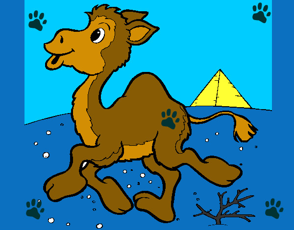 Dibujo Camello 1 pintado por yairica9