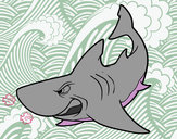 Dibujo Tiburón enfadado pintado por Cchicle