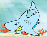 Dibujo Tiburón enfadado pintado por felixjavie