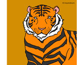 Dibujo Tigre 3 pintado por rosasolaz
