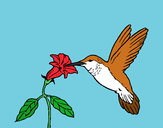 Dibujo Colibrí y una flor pintado por yuerina