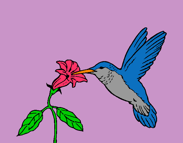 Dibujo Colibrí y una flor pintado por Zaira99