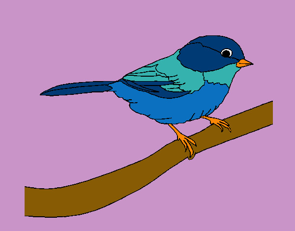 Dibujo Pájarito 1 pintado por Zaira99