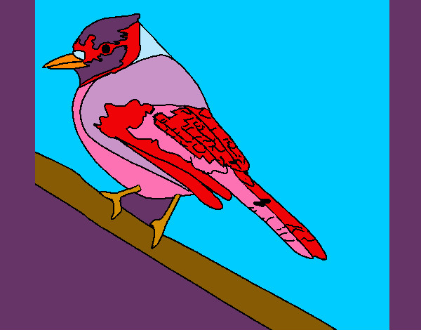 Dibujo Pájaro tropical pintado por Zaira99