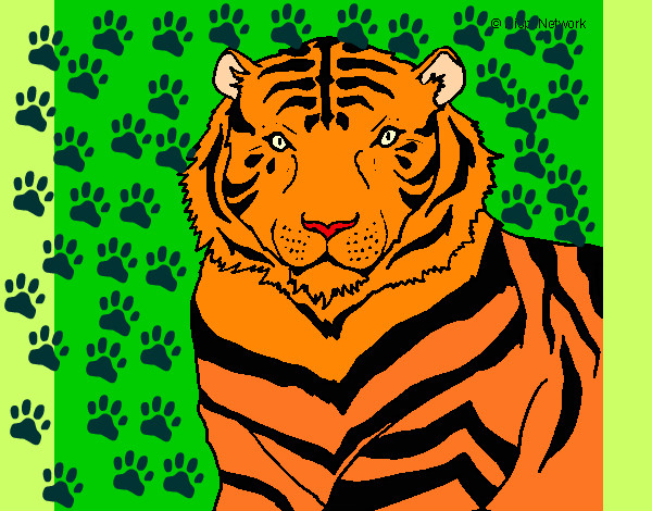 Dibujo Tigre 3 pintado por CARITOGG10