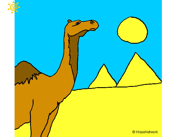Dibujo Camello pintado por jrluisb