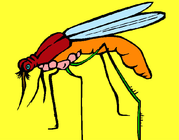 Dibujo Mosquito pintado por Aisaka