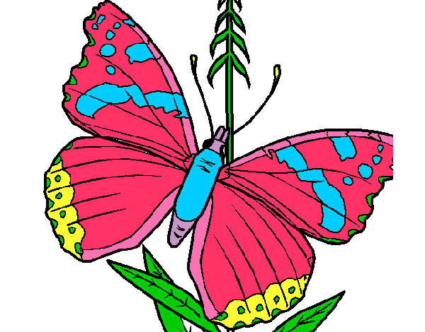 Dibujo Mariposa 5a pintado por gabriela07