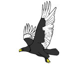 Dibujo Águila volando pintado por perrymon