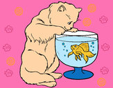 Dibujo Gato mirando al pez pintado por kittykatty
