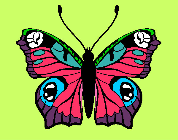 Dibujo Mariposa 20 pintado por  gonzal-y-