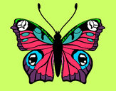 Dibujo Mariposa 20 pintado por  gonzal-y-