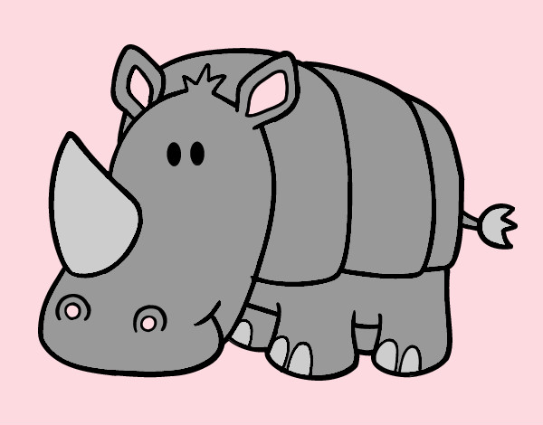 Rinoceronte bebé