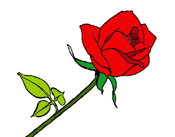 Dibujo Rosa pintado por erzza