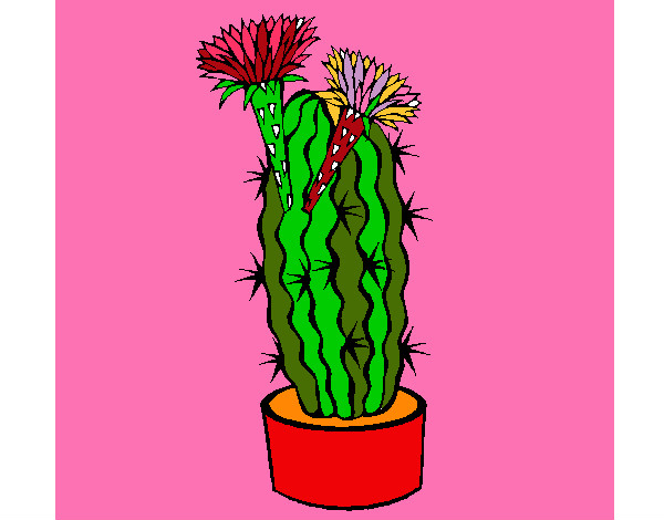 Dibujo Cactus con flores pintado por tucu