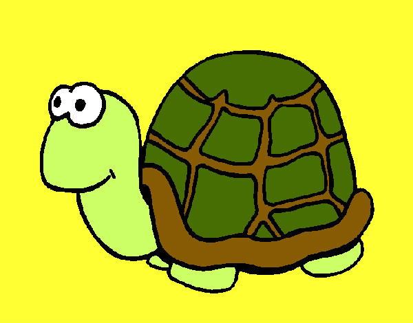 Dibujo Tortuga 1 pintado por FLAKO