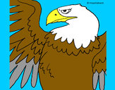 Dibujo Águila Imperial Romana pintado por pingo