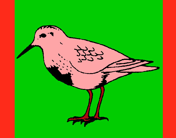 Dibujo Pájaro pintado por rayencitha