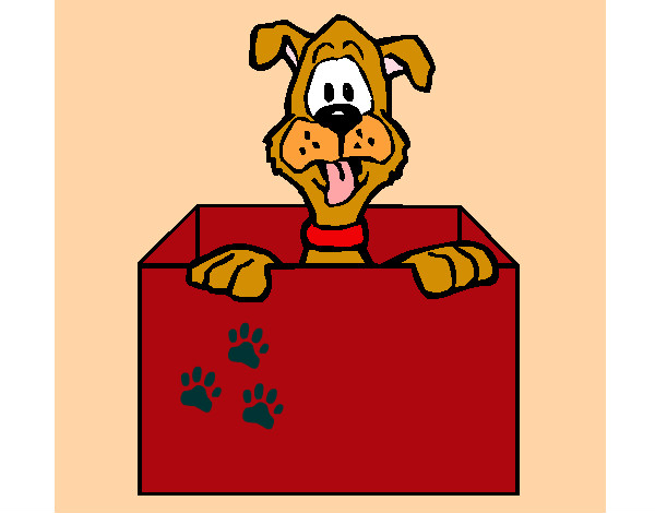 Dibujo Perro dentro de caja pintado por dany17