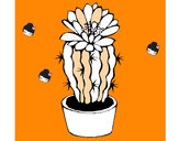 Dibujo Cactus con flor pintado por MIMIN
