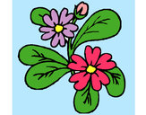Dibujo Flores 4a pintado por martinedu