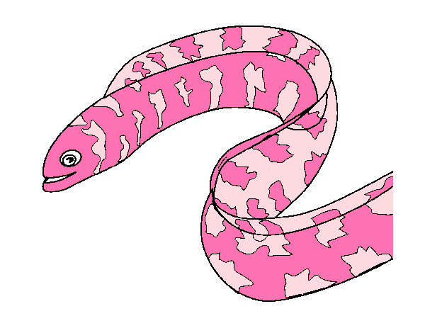Dibujo Anguila pintado por rosali321