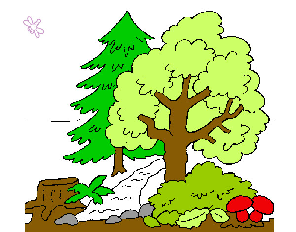 Dibujo Bosque 1 pintado por osftal