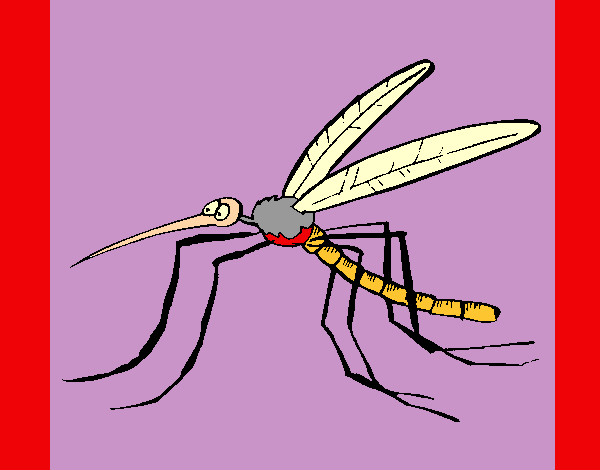 Dibujo Mosquito 2 pintado por jpo123456