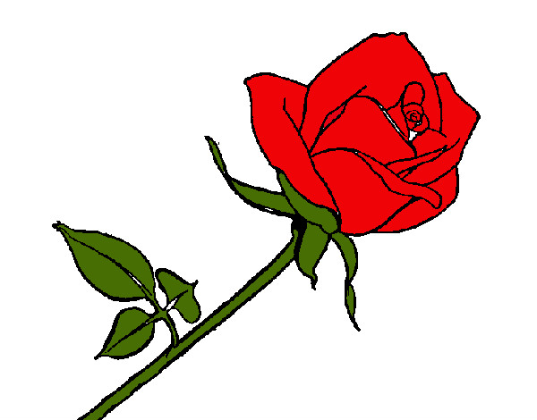 Dibujo Rosa pintado por yova