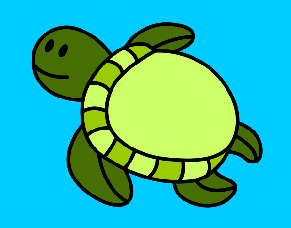 Dibujo Tortuga nadando pintado por pucurumind