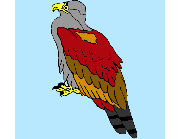 Dibujo Águila pintado por Lulicas
