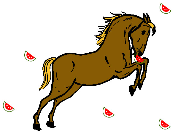 caballo de seba